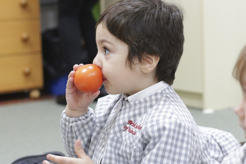IMG_1285-1024x682